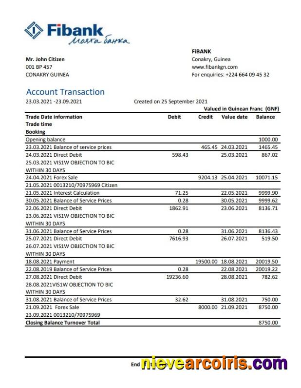 Guinea Fibank bank statement in .xls and .pdf file format